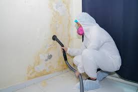 Best Mold Damage Restoration in Broadlands, VA